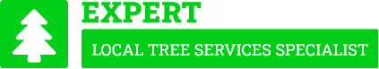 Kapiti Coast Tree Services - Tree Removal Kapiti Coast